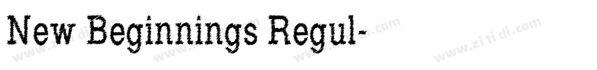 New Beginnings Regul字体转换